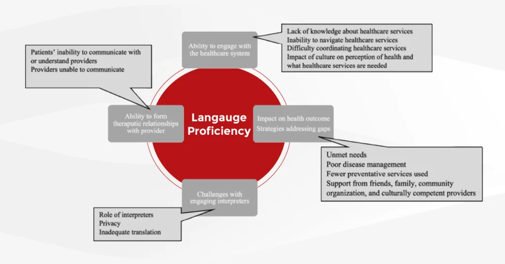 Diagram of how limited language proficiency affects access, outcomes, and use of interpreters in care.