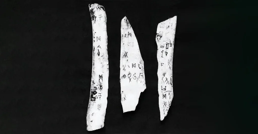 Oracle bone inscriptions Oracle bones inscribed with early Chinese characters, illustrating origins of Chinese writing.